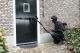 Door Blaster Set, HDB 90 ST + HDBC 240 ST