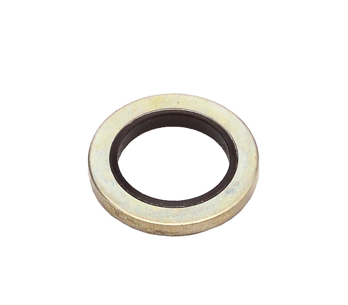 Sealing Ring M18 (V)